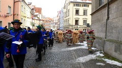 2016-01 Narrentreffen Lindau (20)
